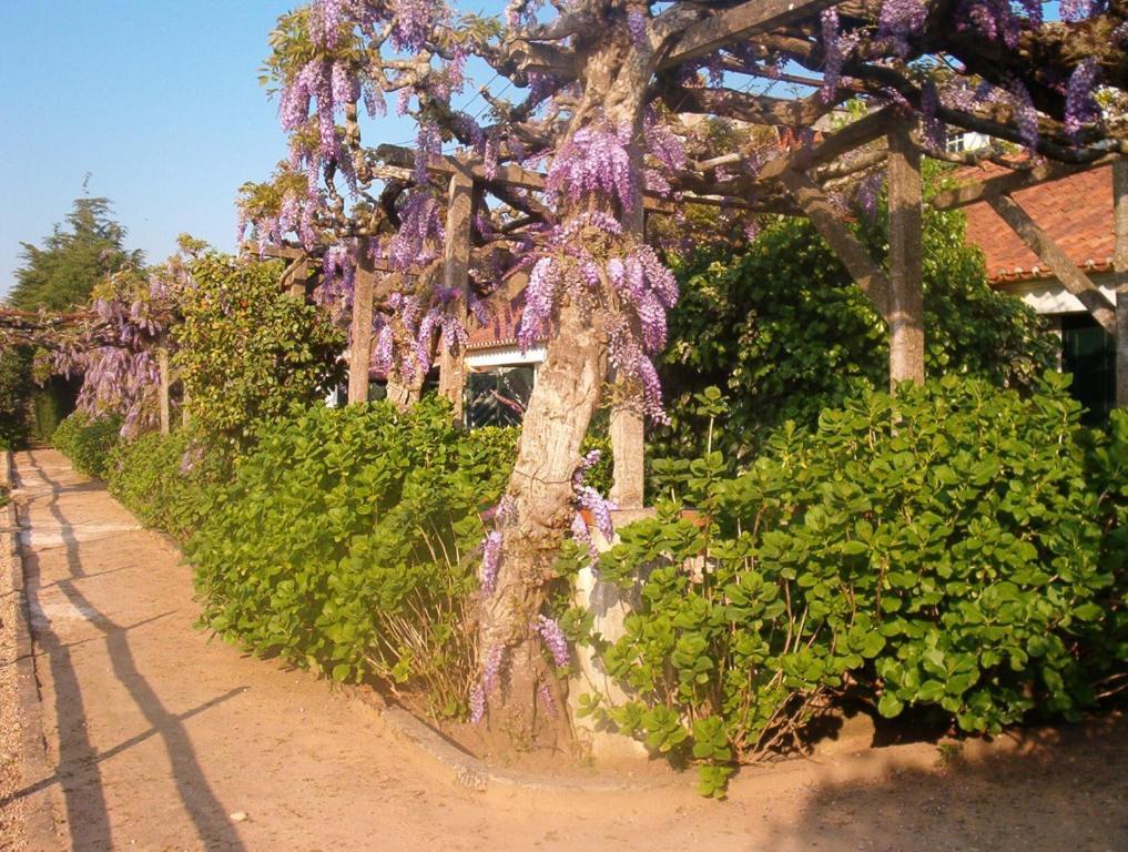 Hostal Quinta Do Casalinho Almeirim Exterior foto